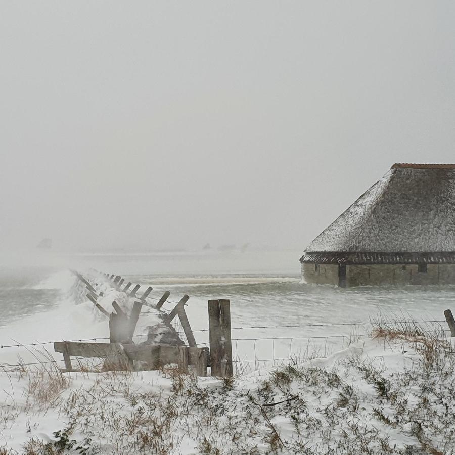 'T Lant Van Texsel De Koog  Exterior photo